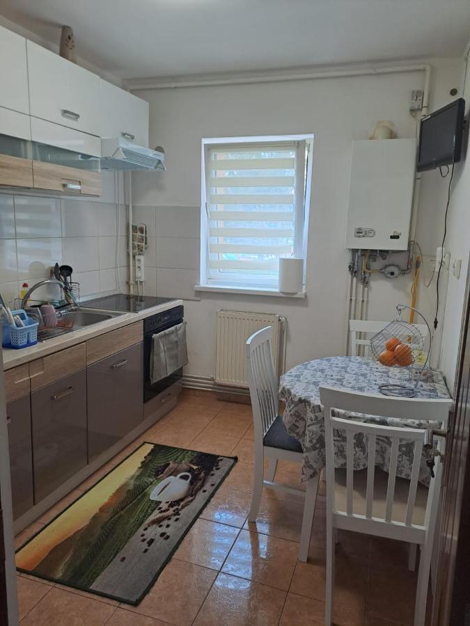 Garsoniera Bia Apartment Brasov Exterior photo